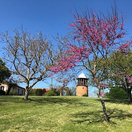 La Tarabelloise Buitenkant foto
